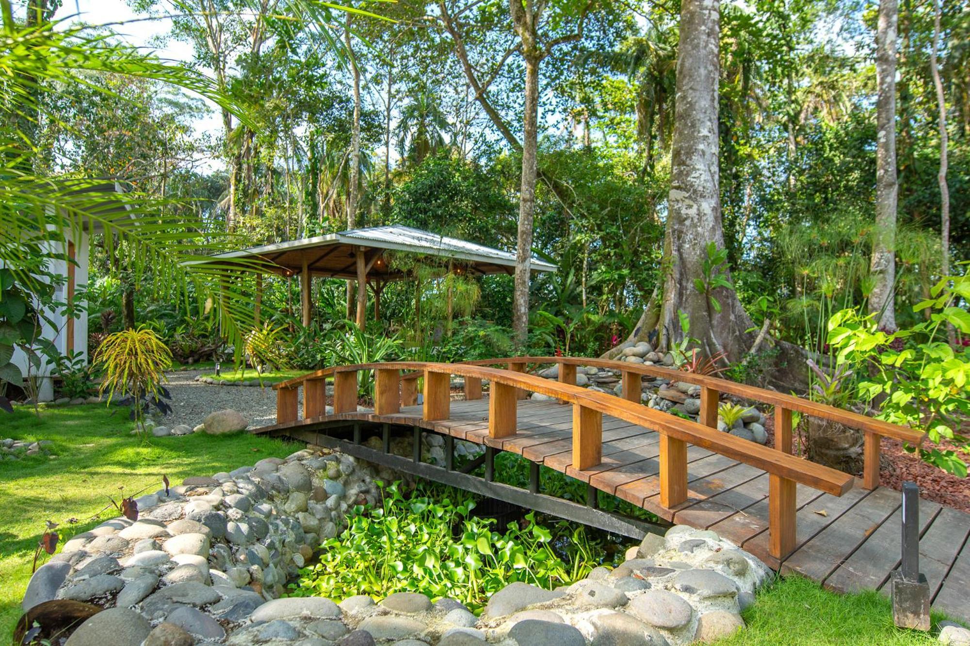Dragonfly Beachfront Villas-Adult Only Punta Uva Exteriör bild