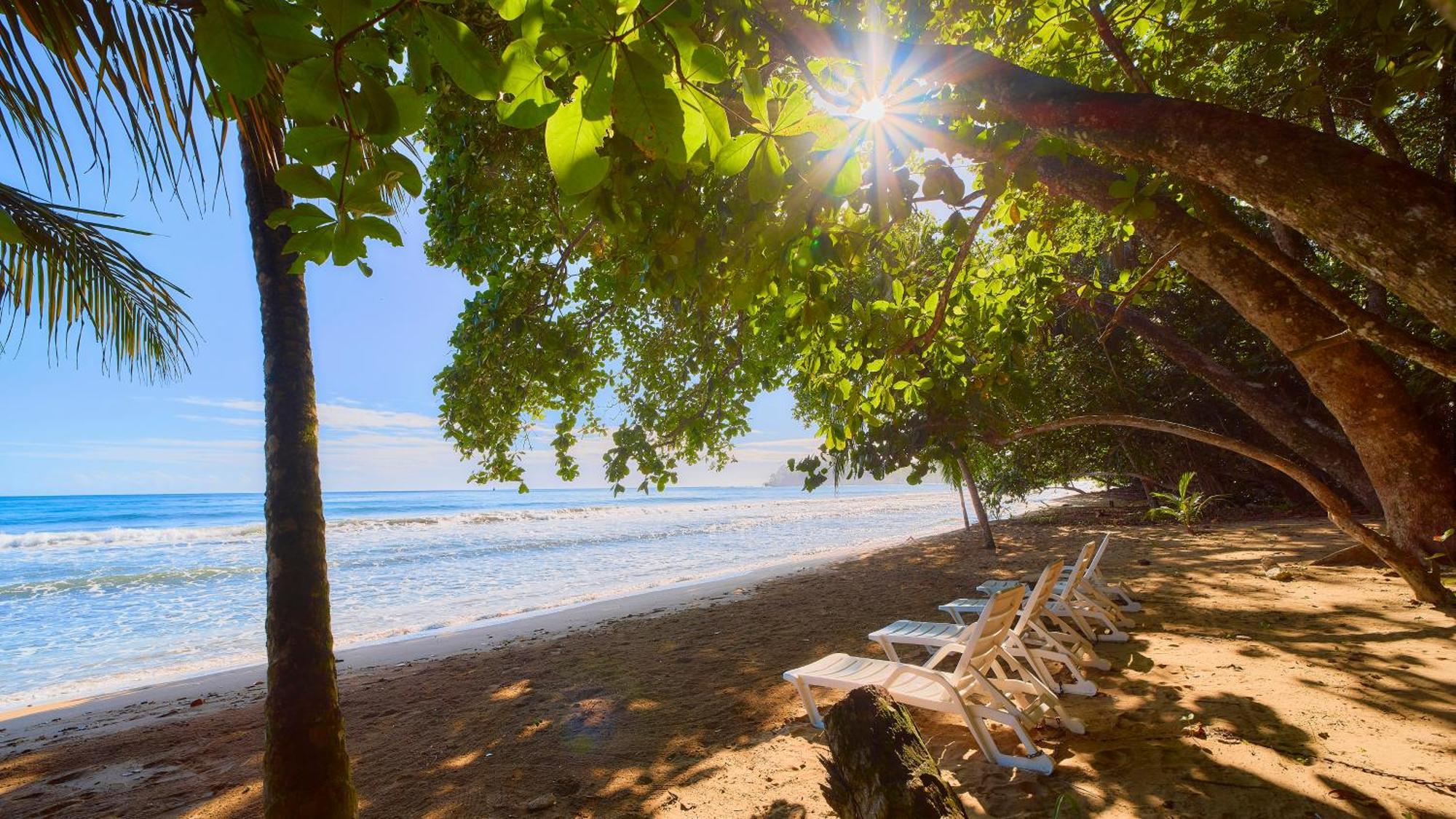Dragonfly Beachfront Villas-Adult Only Punta Uva Exteriör bild