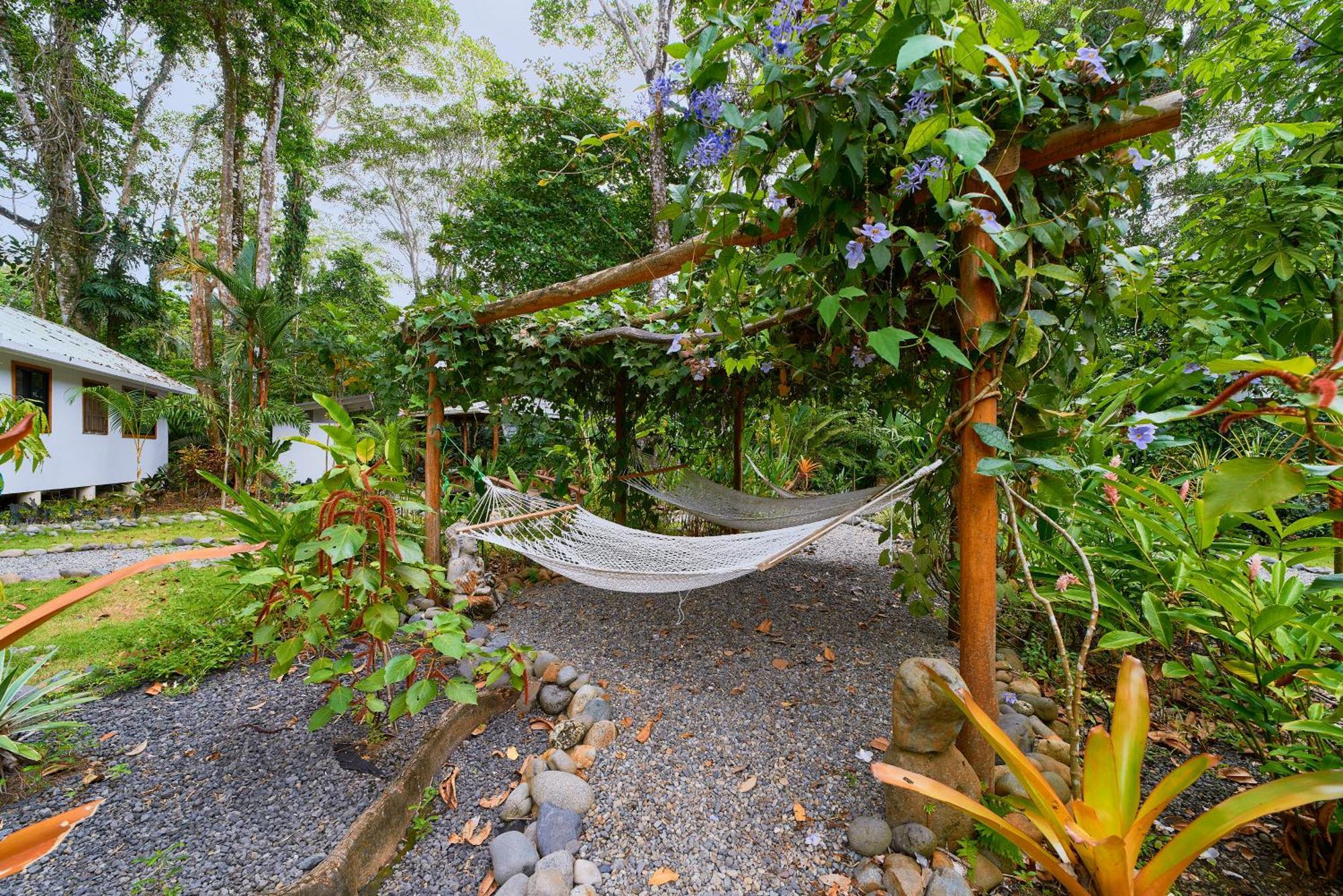 Dragonfly Beachfront Villas-Adult Only Punta Uva Exteriör bild